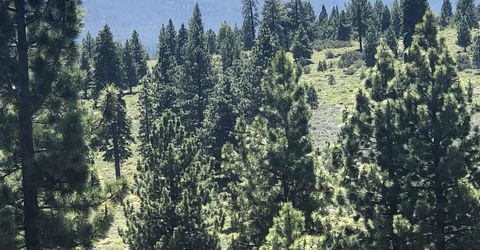 000 Boca Road , Truckee, CA 96161 Photo