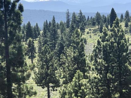 000 Boca Road , Truckee, CA 96161 Photo