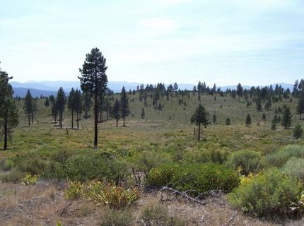 000 Boca Road , Truckee, CA 96161 Photo