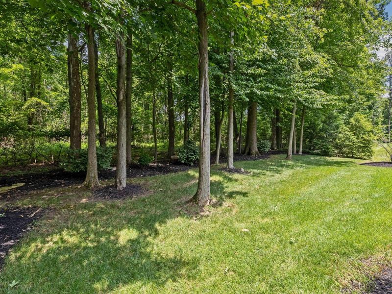 5455 Via Alvito Drive, Westerville, OH 43082 Photo 47
