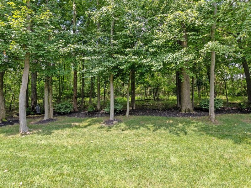 5455 Via Alvito Drive, Westerville, OH 43082 Photo 48