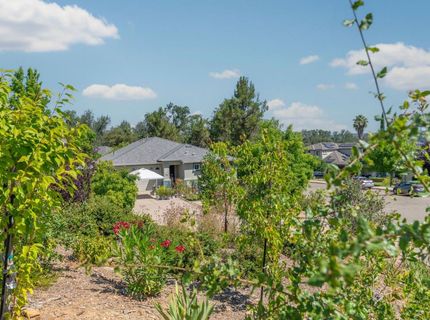 705 Kristi Ct, Jackson, CA 95642 Photo