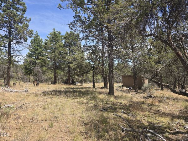 11436 Wildhorse Drive, Bonanza, OR 97623
