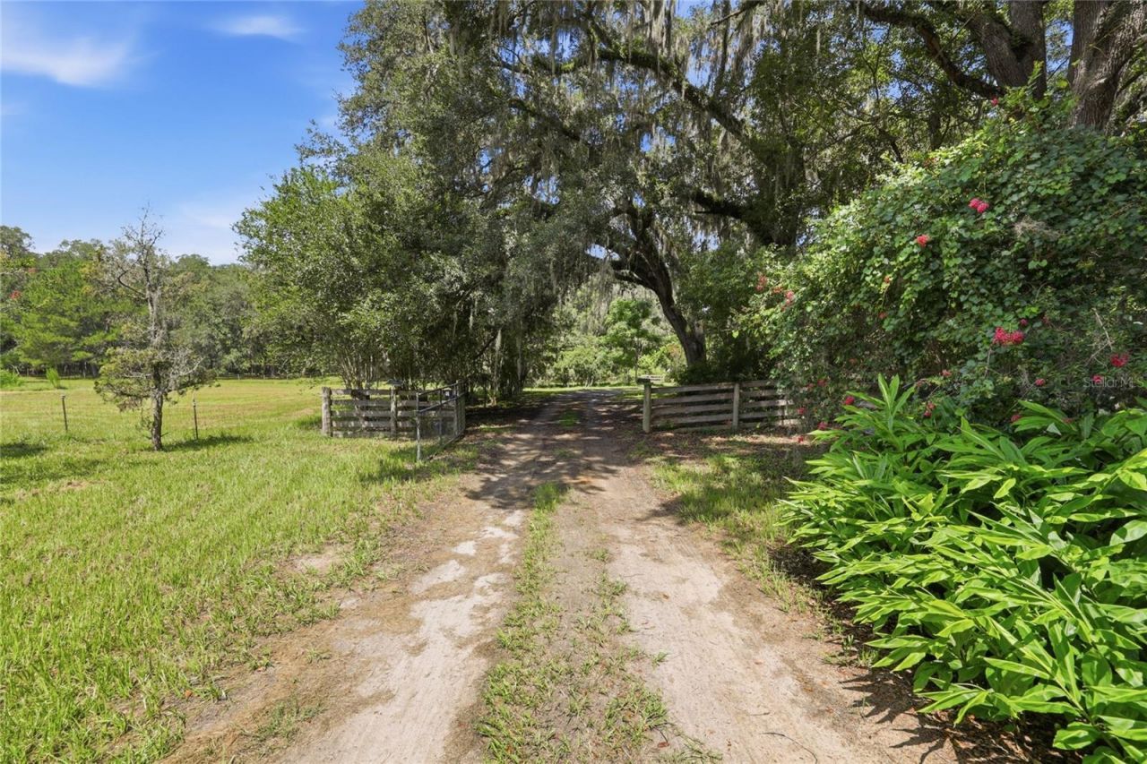 22929 E County Road 1474 , Hawthorne, FL 32640 Photo