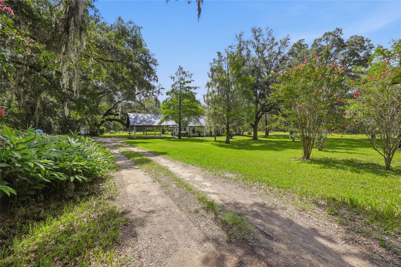 22929 E County Road 1474 , Hawthorne, FL 32640 Photo