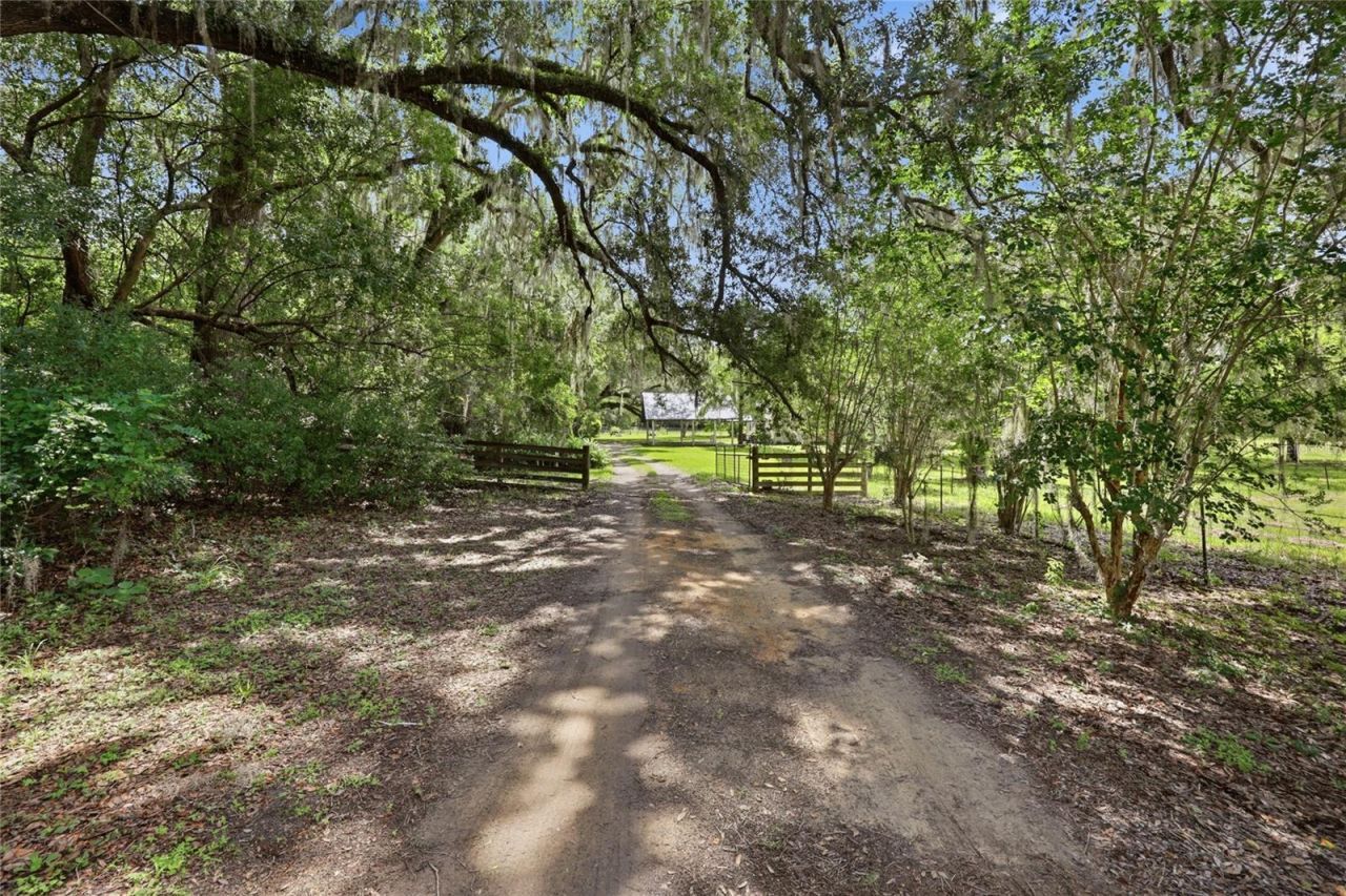22929 E County Road 1474 , Hawthorne, FL 32640 Photo