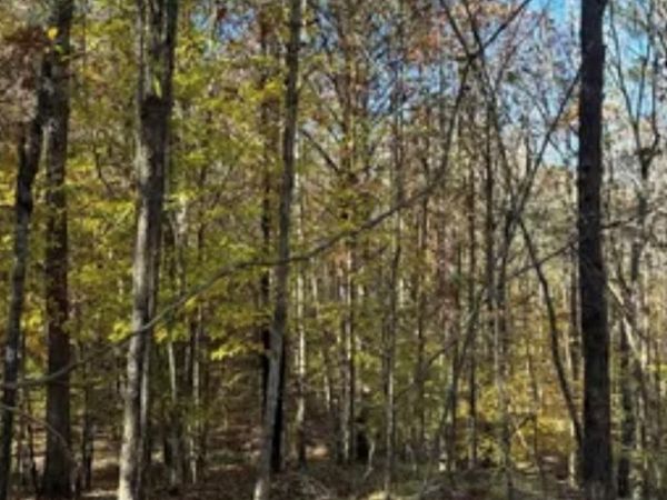 Lot 70 Highlands Cir, Oxford, MS 38655