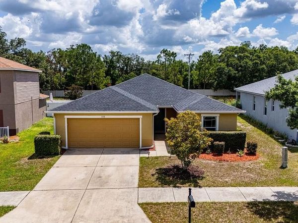 11018 RUNNING PINE DRIVE , RIVERVIEW, FL 33569