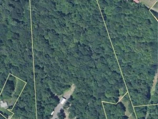 2137 BELVEDERE DRIVE, KING GEORGE, VA 22485