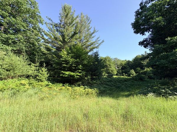 Wildwood Trail, Unit Lot A, Manistee, MI 49660