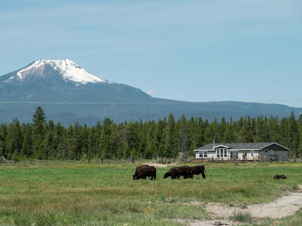 1950 Silver Lake Road, Chiloquin, OR 97624