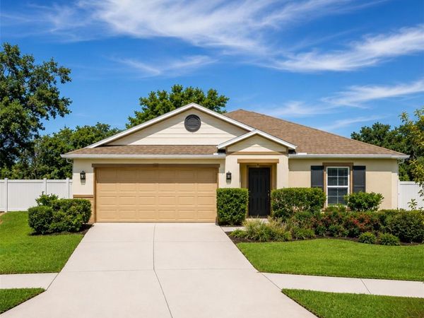 10539 LAGUNA PLAINS DRIVE , RIVERVIEW, FL 33578
