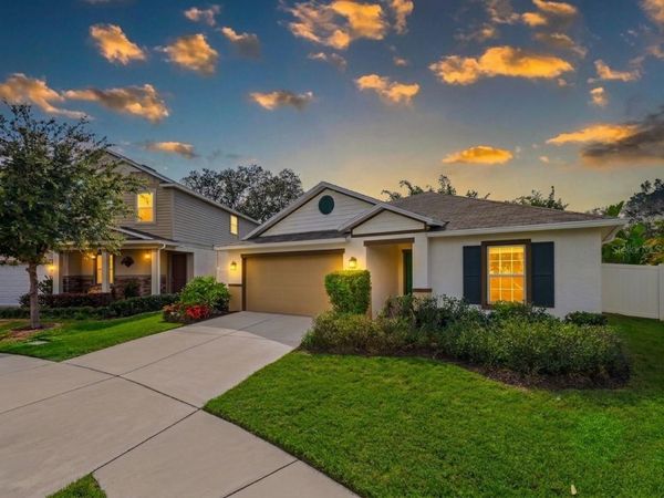 10539 LAGUNA PLAINS DRIVE , RIVERVIEW, FL 33578