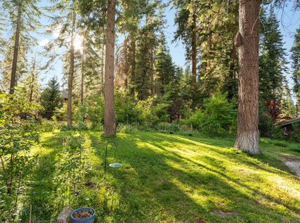 1223 White Fir Road, Lake Almanor, CA 96137 Photo