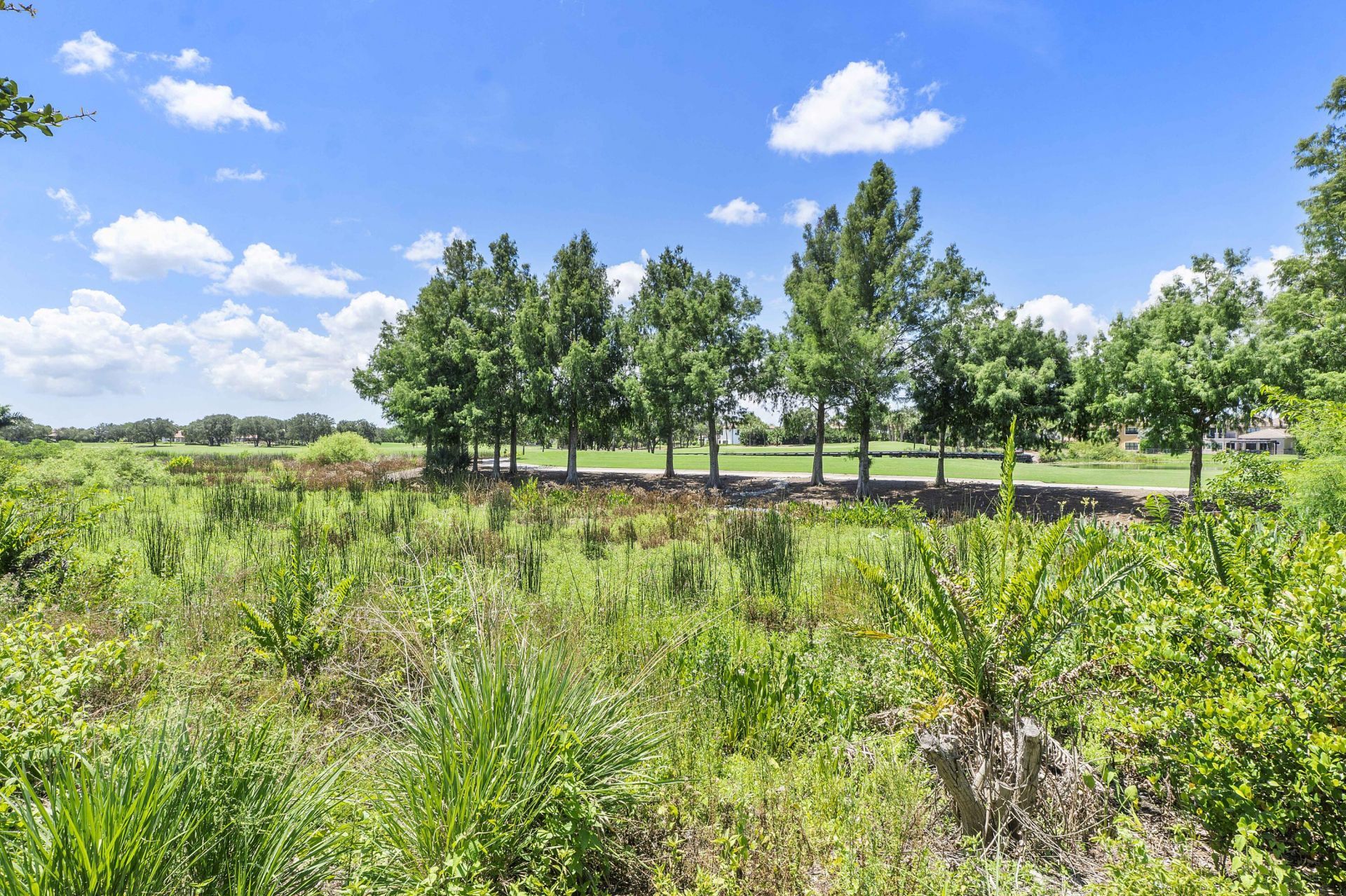 10282 Emerson Street, Parkland, FL 33076 Photo