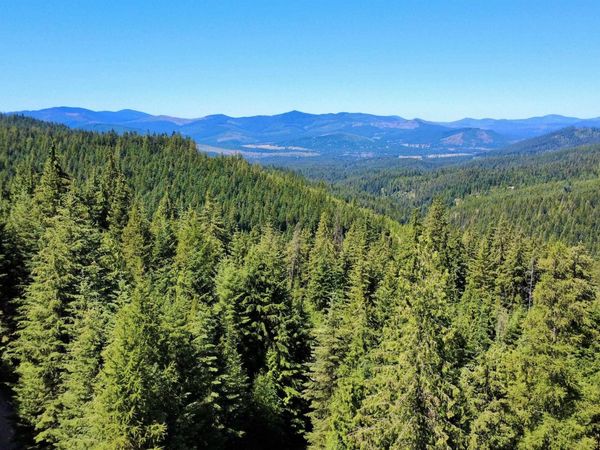 1494 & 1432 N Alpine, Fernwood, ID 83830