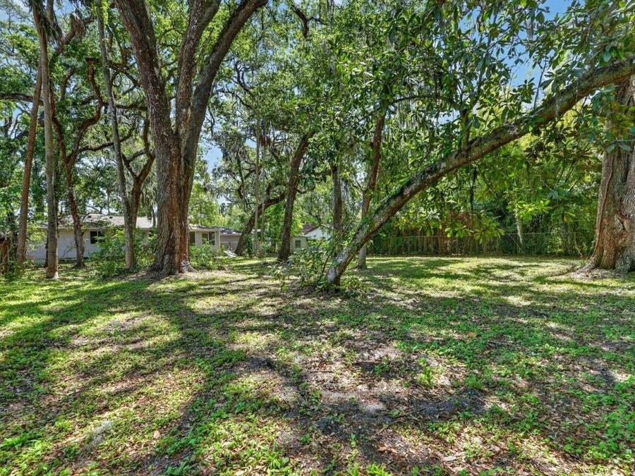 Property Image 49