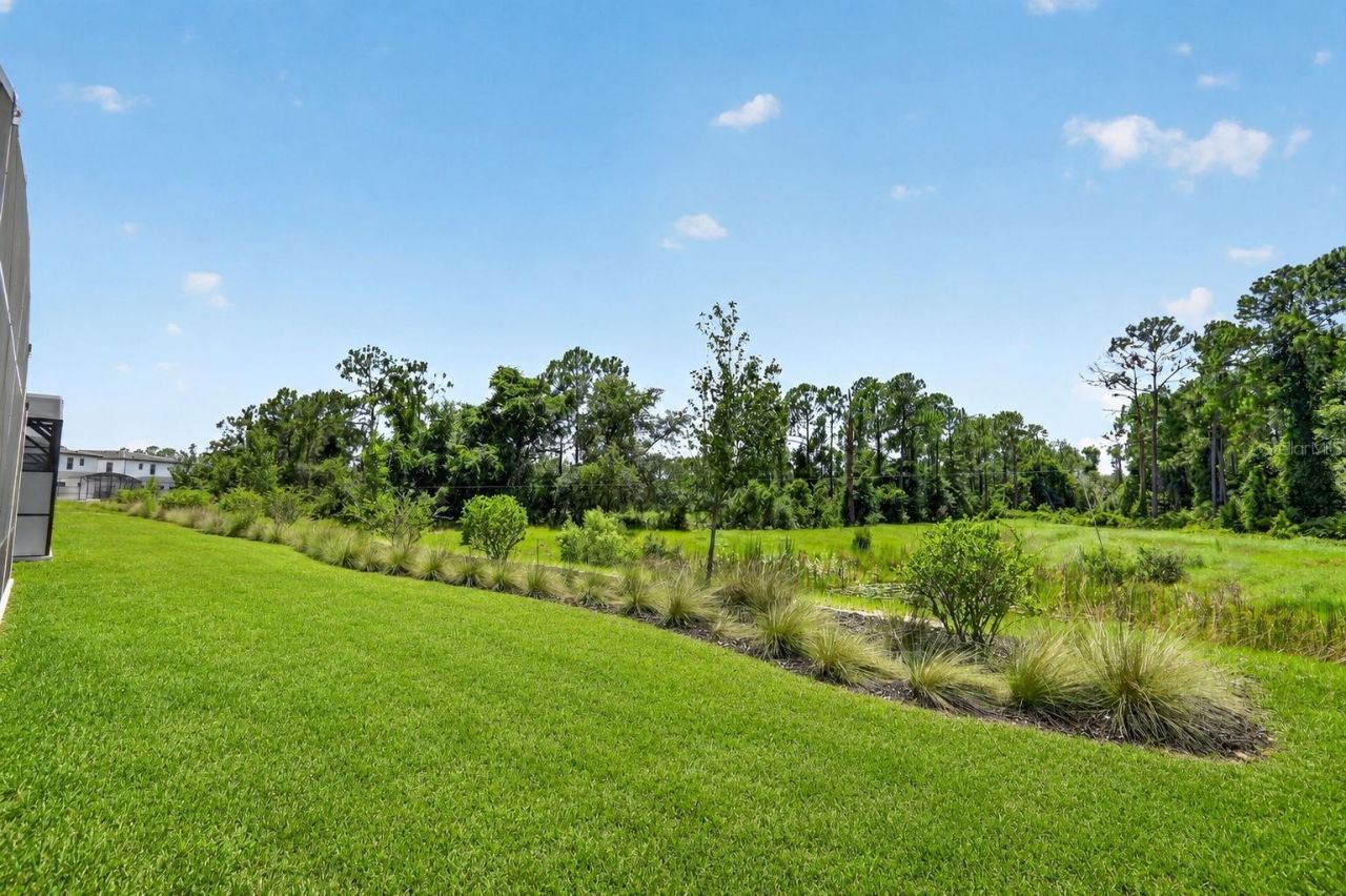 1242 Butterfly Orchid Road, Davenport, FL 33837 Photo