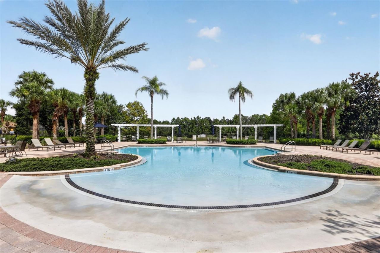 1242 Butterfly Orchid Road, Davenport, FL 33837 Photo