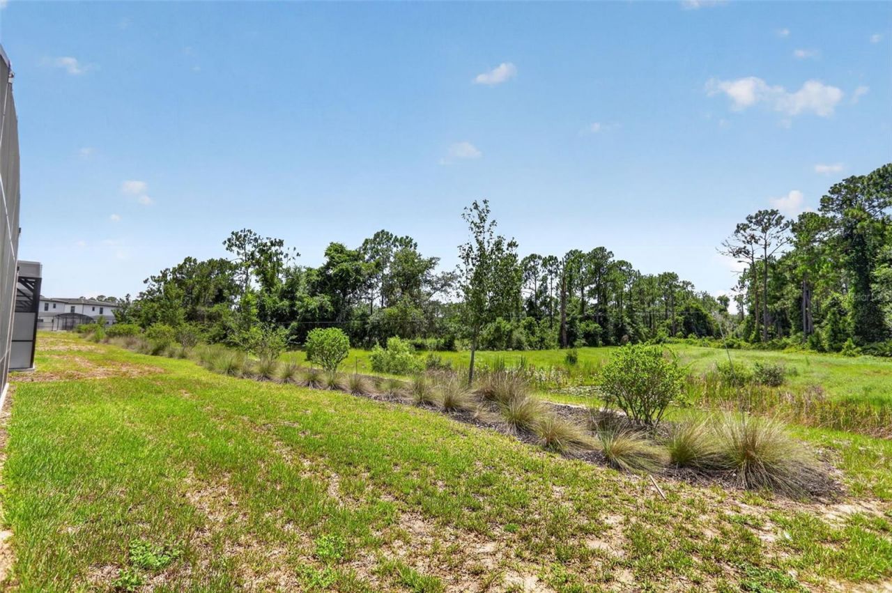 1242 Butterfly Orchid Road, Davenport, FL 33837 Photo
