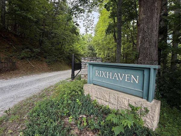1 Rixhaven Drive, Saluda, NC 28773