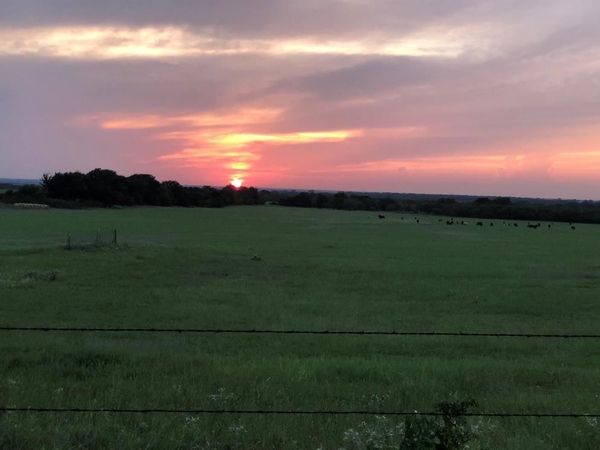 2110 CR 362, Desdemona, TX 76445