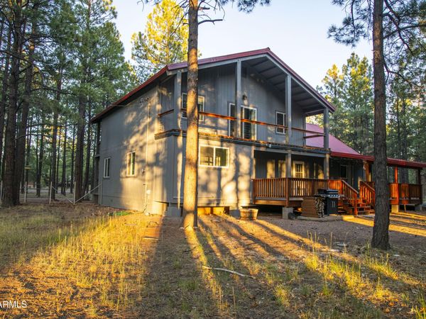 1338 LUMBER MILL Drive, Happy Jack, AZ 86024