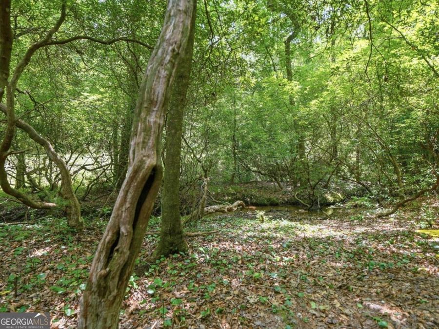 Property Image 51