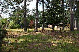 1104 Flamingo Drive  photo 4