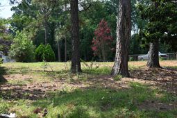 1104 Flamingo Drive  photo 4