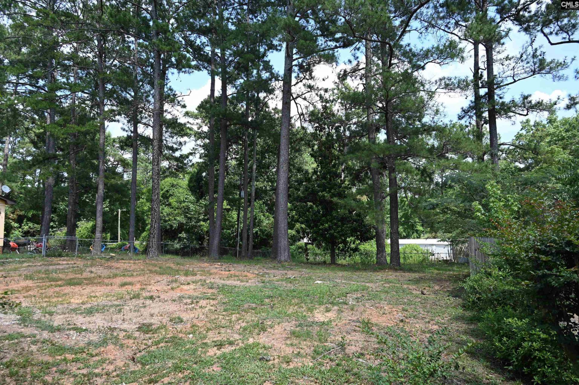 1104 Flamingo Drive  Photo 4