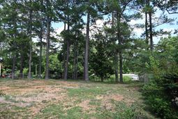 1104 Flamingo Drive  photo 4