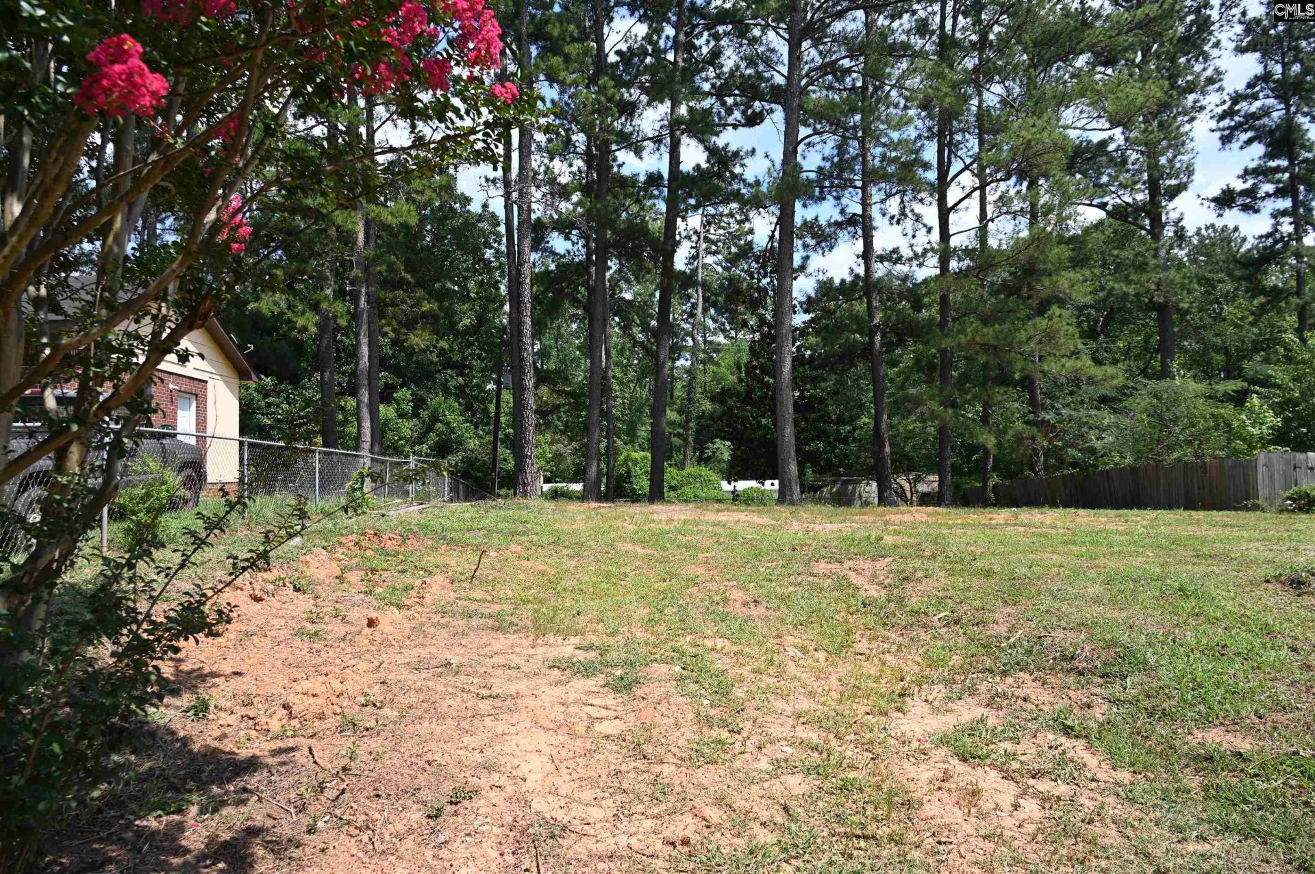 1104 Flamingo Drive  Photo 6