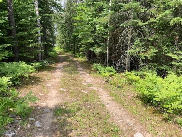 11919 Luna Lake Road, Side Lake, MN 55781