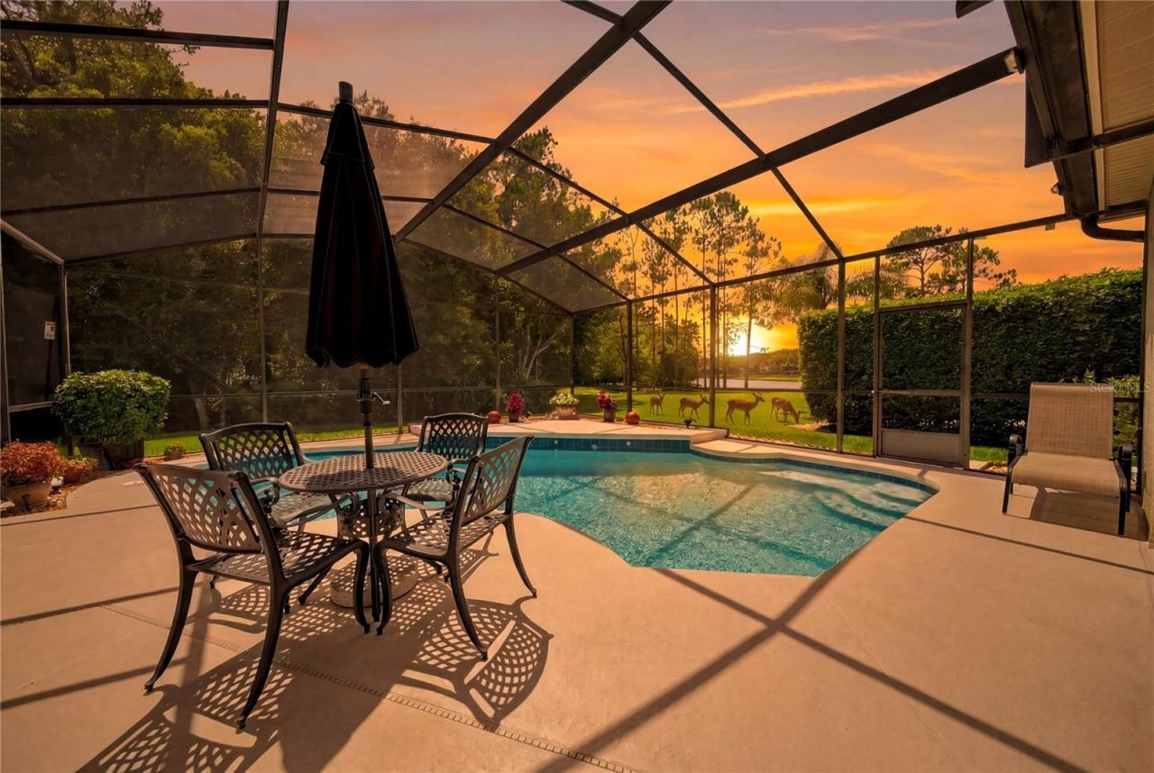 4608 Saddleworth Circle, Orlando, FL 32826 Photo