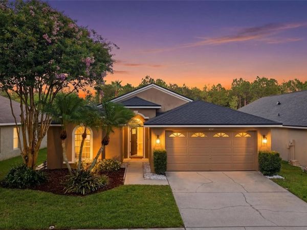 4510 NEW DAWN COURT , LUTZ, FL 33558