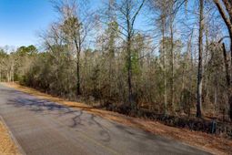 1641 Joe Collins Rd  photo 4