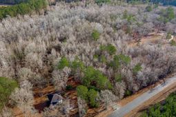 1641 Joe Collins Rd  photo 4