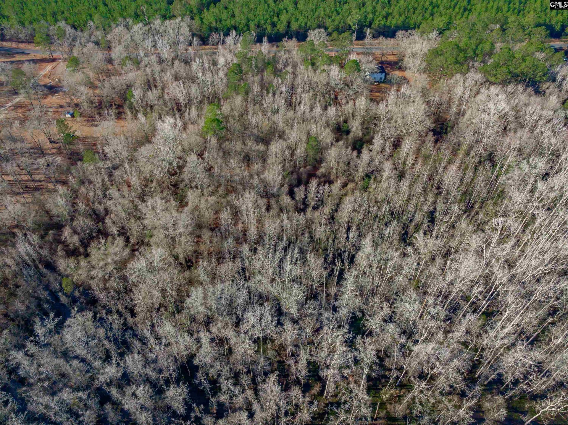 1641 Joe Collins Rd  Photo 4