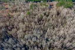 1641 Joe Collins Rd  photo 4