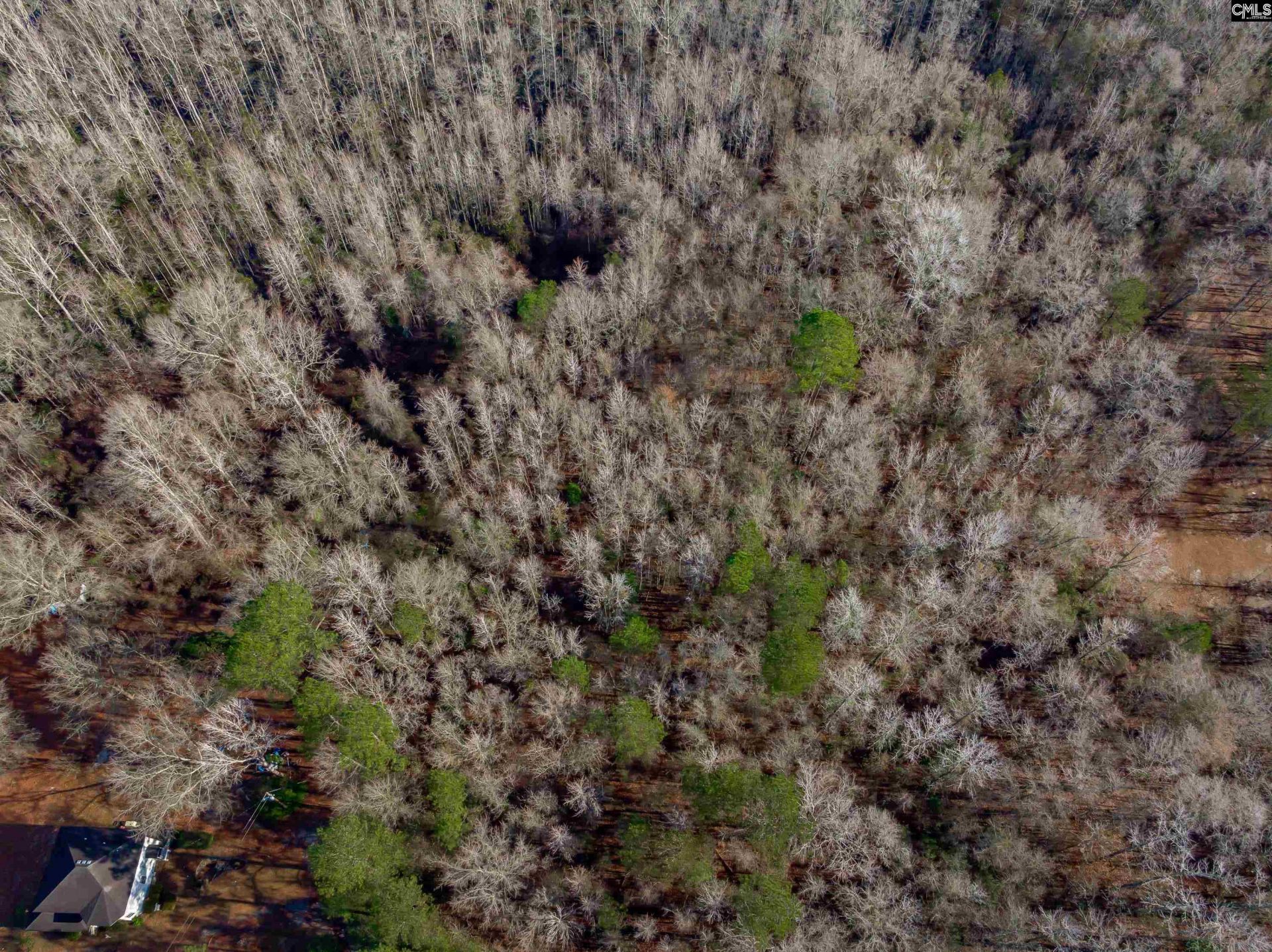 1641 Joe Collins Rd  Photo 5