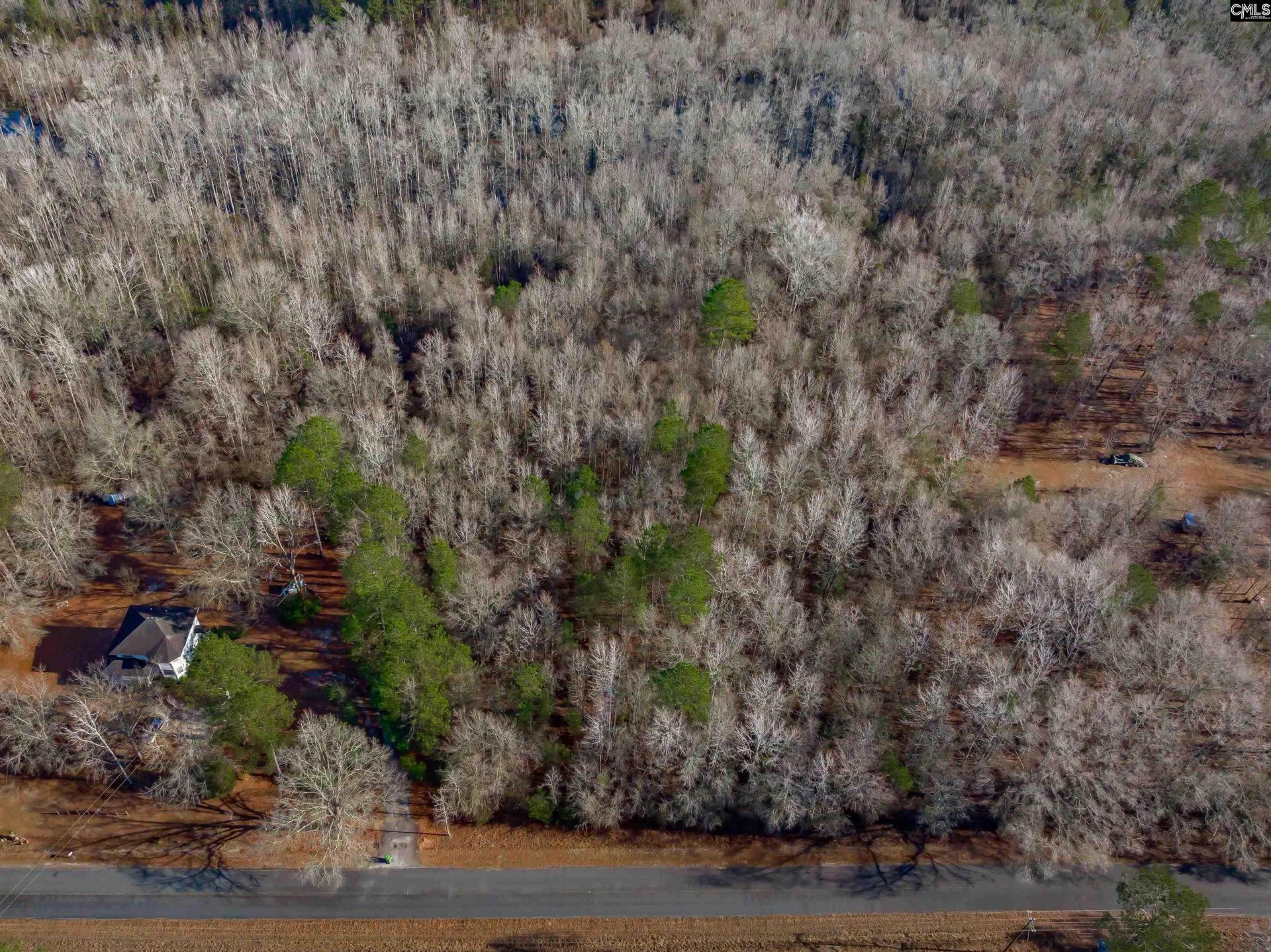 1641 Joe Collins Rd  Photo 6