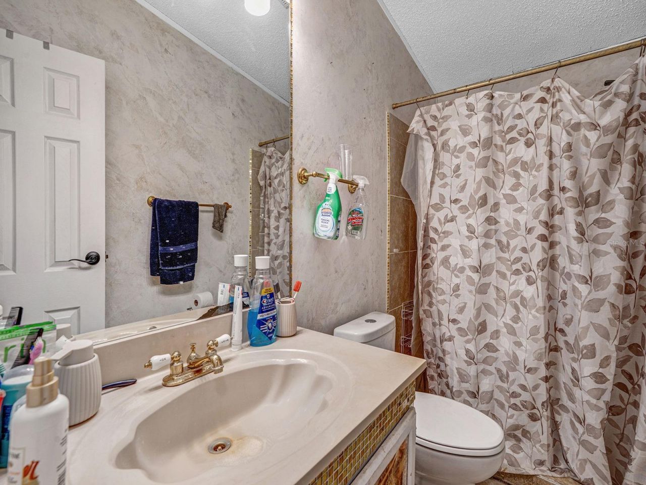12845 Casa Bianca Avenue , New Port Richey, FL 34654 Photo