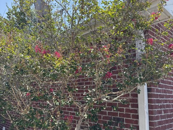 1014 Airport Road, Unit 173, Destin, FL 32541