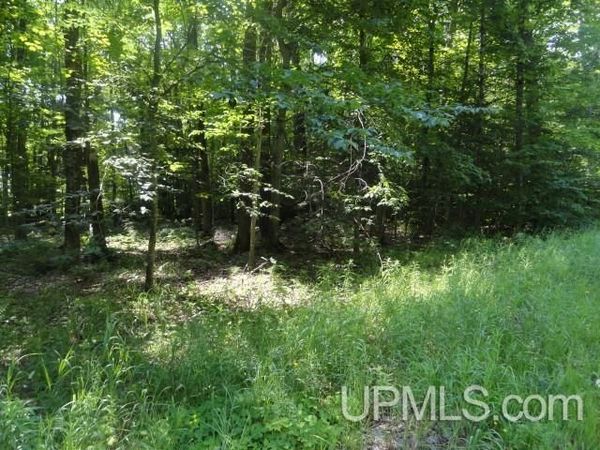 TBD 16 Mile Lk Road, Au Train Twp, MI 49862