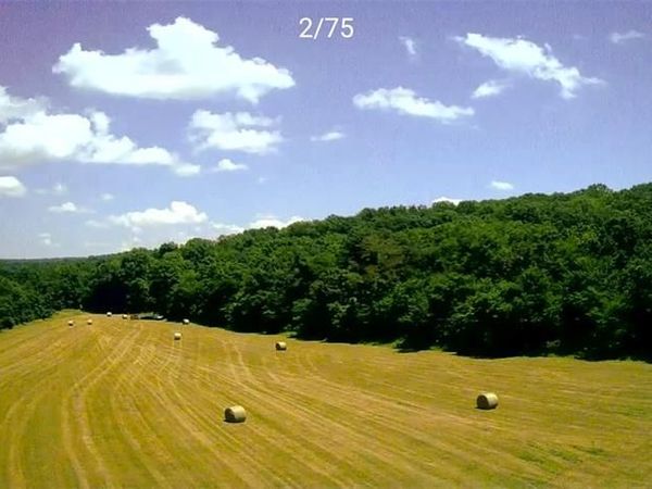 000 Gibbs Cemetery Road , Steelville, MO 65565