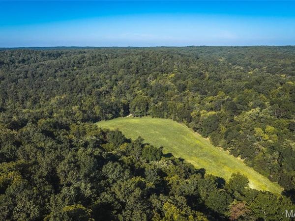 000 Gibbs Cemetery Road, Steelville, MO 65565