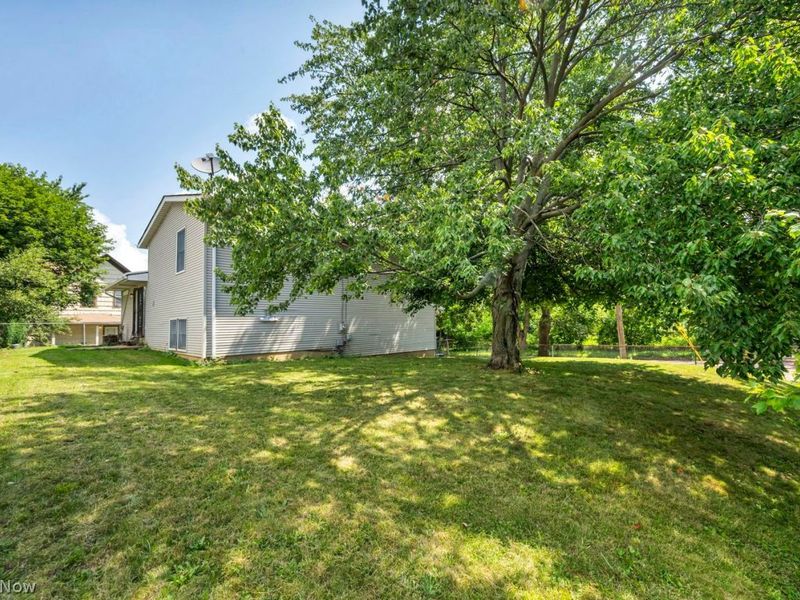 876 Oberlin Street, Akron, OH 44311 Photo 23
