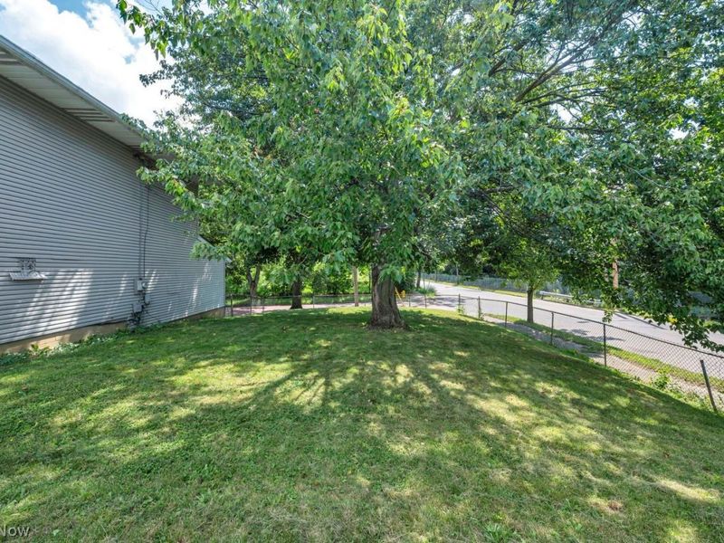 876 Oberlin Street, Akron, OH 44311 Photo 25