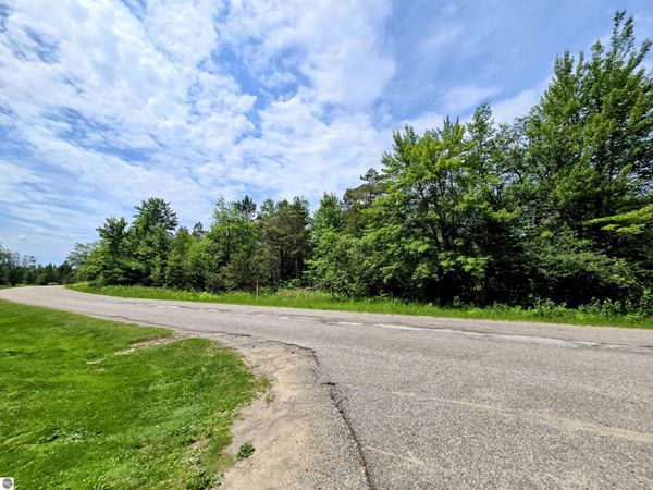 267 Pineview Drive, Mancelona, MI 00000